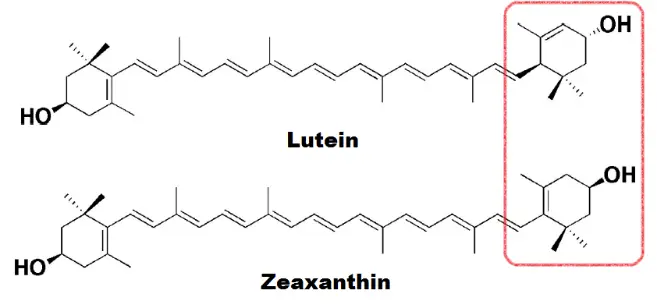 Lutein Zeaxanthin powder