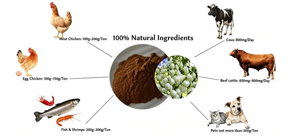 Yucca Saponin powder