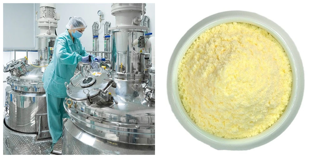 Alpha Lipoic Acid Bulk Powder 