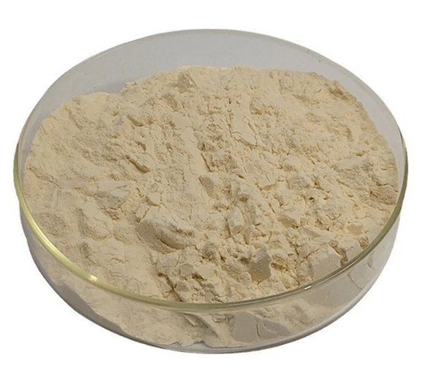 mango leaf extract