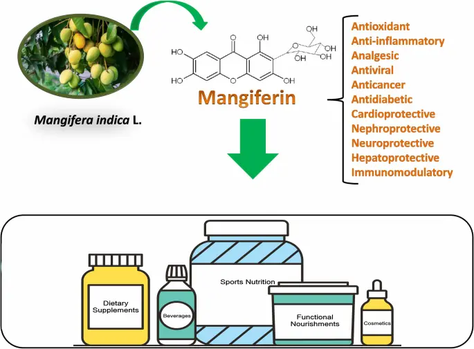 mango leaf extract Mangiferin application