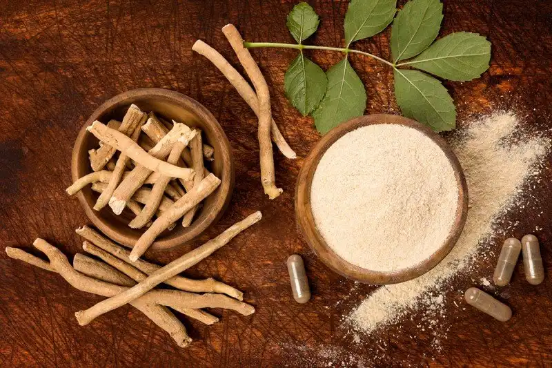 Ashwagandha Root extract Ashwagandha Root extract