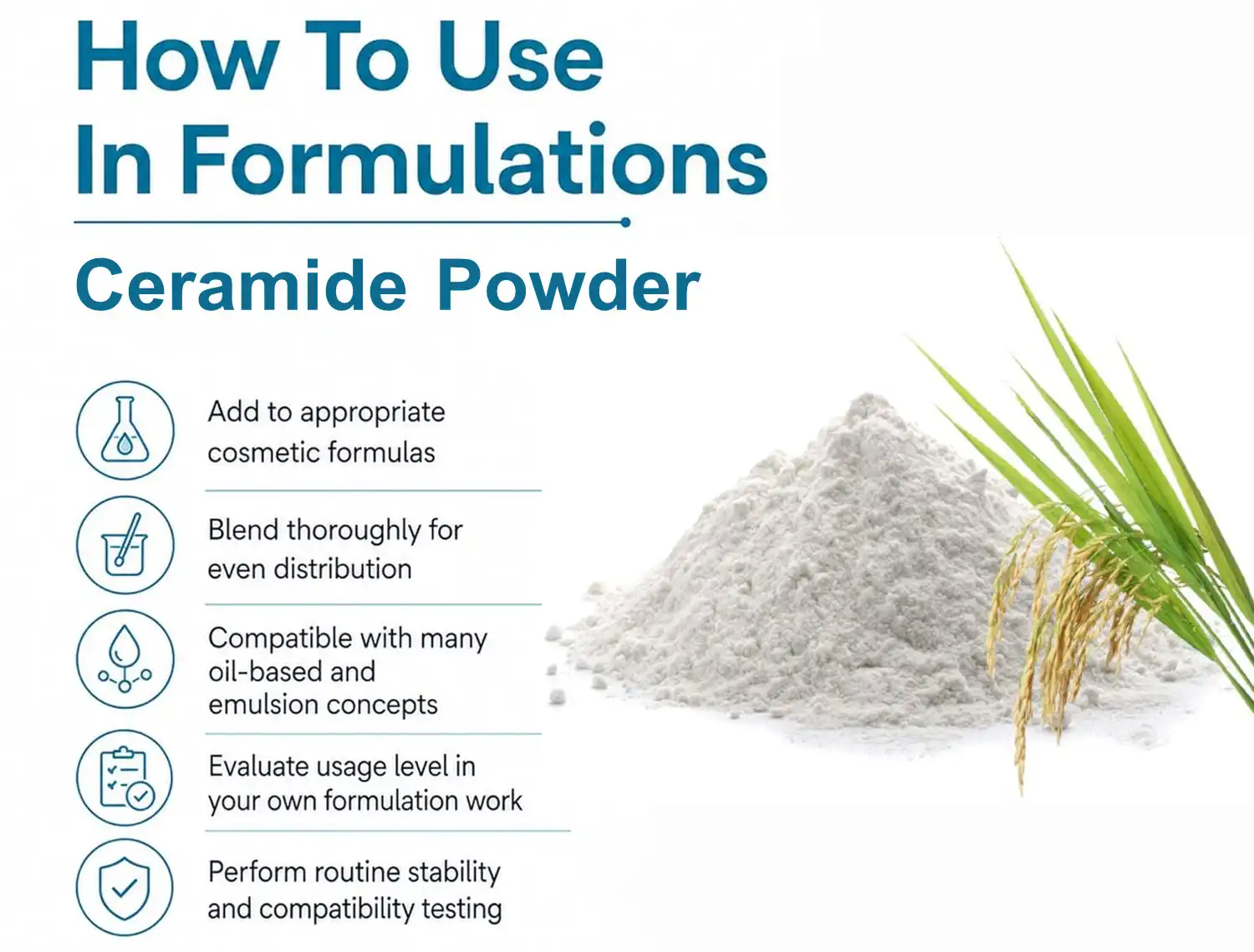Ceramide Powder skin formula