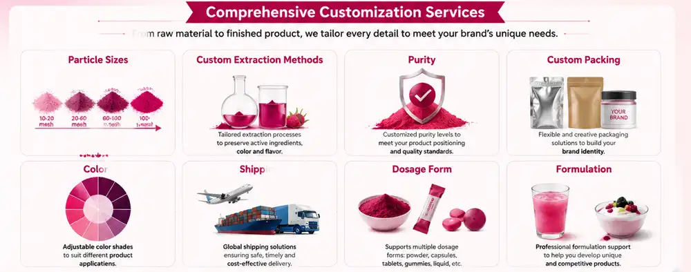 Red Dragon Fruit Powder oem odm Red Dragon Fruit Powder oem odm