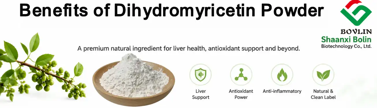 Dihydromyricetin Powder benefits