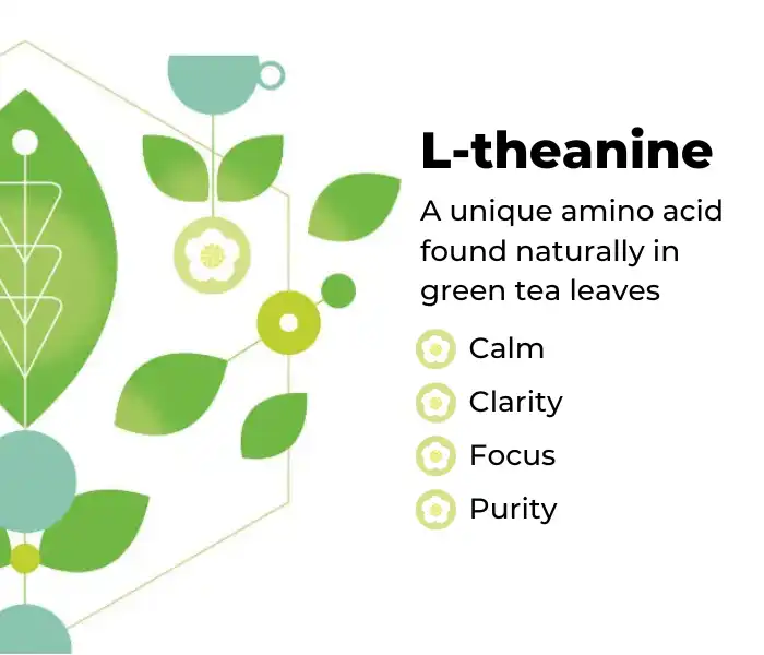 L-theanine powder L-theanine powder