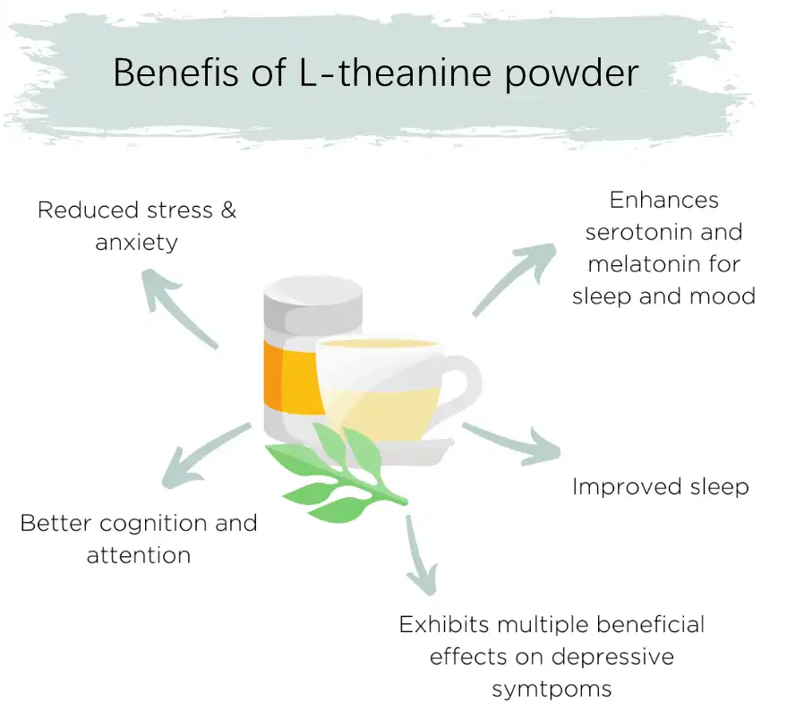 pure L-theanine powder benefits pure L-theanine powder benefits
