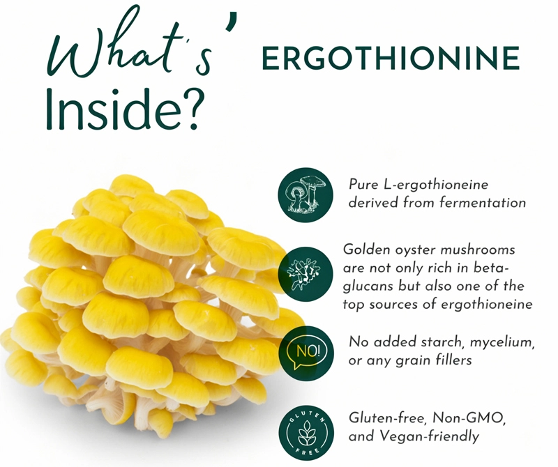 Ergothioneine powder Ergothioneine powder
