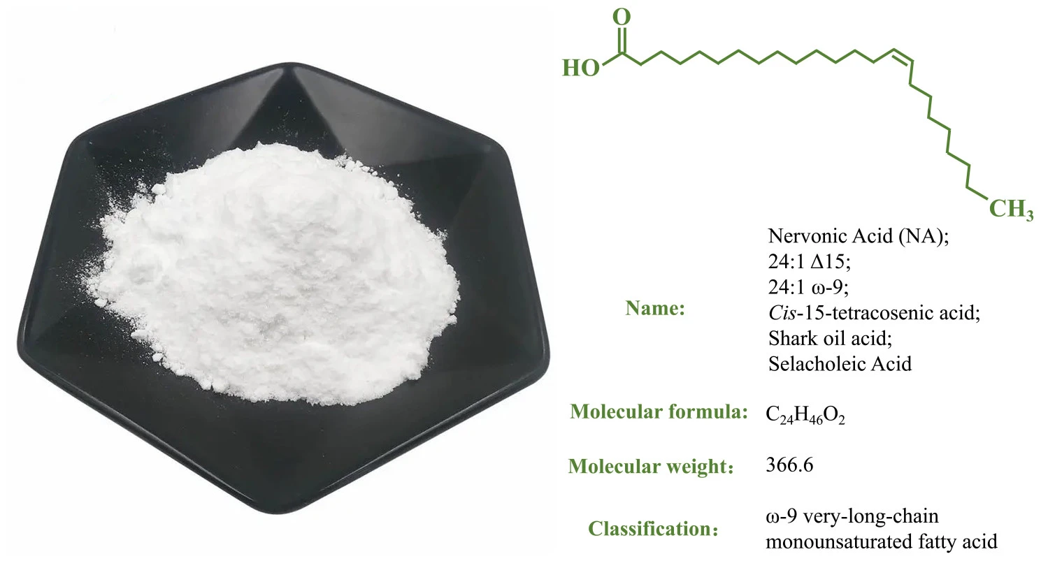 Nervonic Acid POWDER