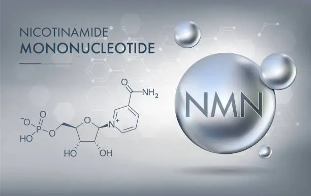 nmn powder bulk