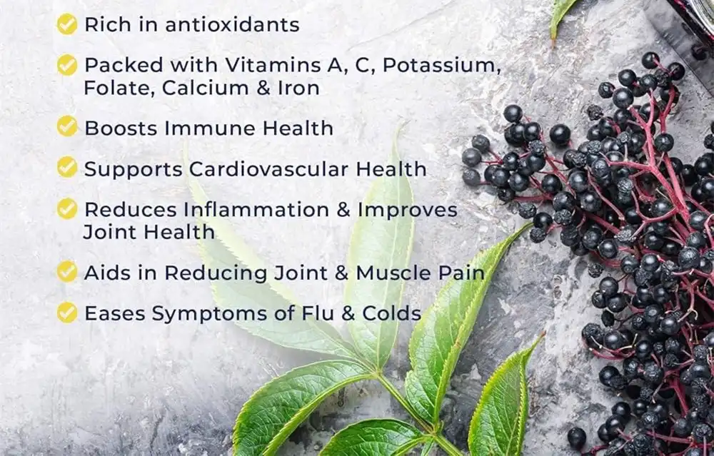 elderberry extract powder