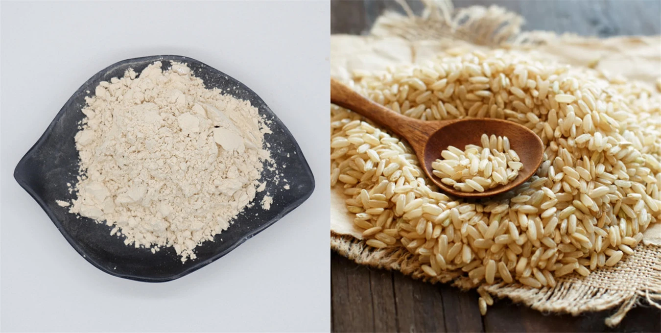 brown rice protein powder brown rice protein powder