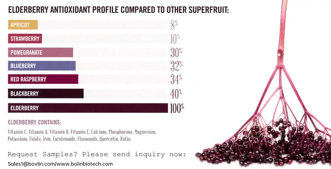 elderberry extract powder elderberry extract powder