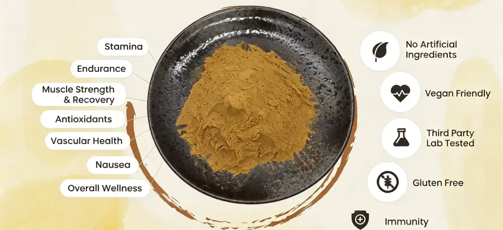 Black Ginger Extract Powder benefits Black Ginger Extract Powder benefits