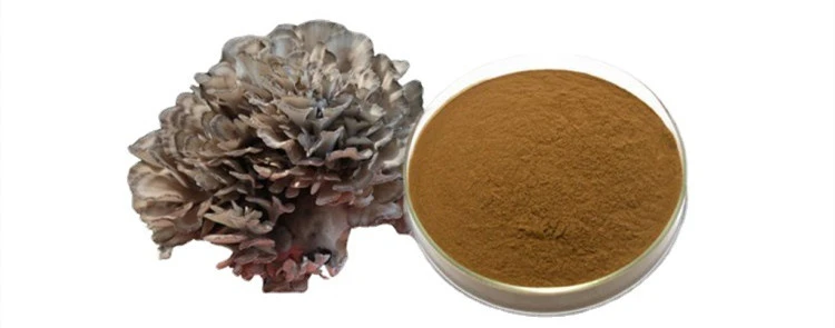 Maitake Mushroom Extract Powder