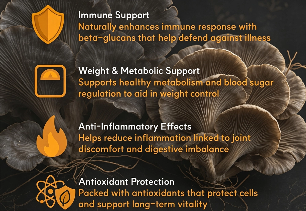 Maitake Mushroom Extract Powder benefits Maitake Mushroom Extract Powder benefits
