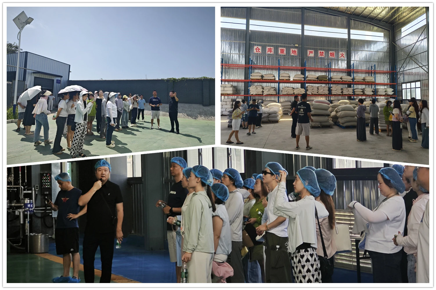 bolin biotechnology factory