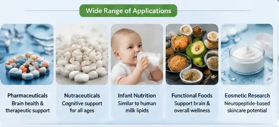 nervonic acid powder aplication nervonic acid powder aplication