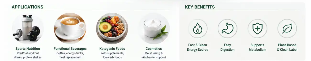 Medium Chain Triglycerides Powder benefits application Medium Chain Triglycerides Powder benefits application