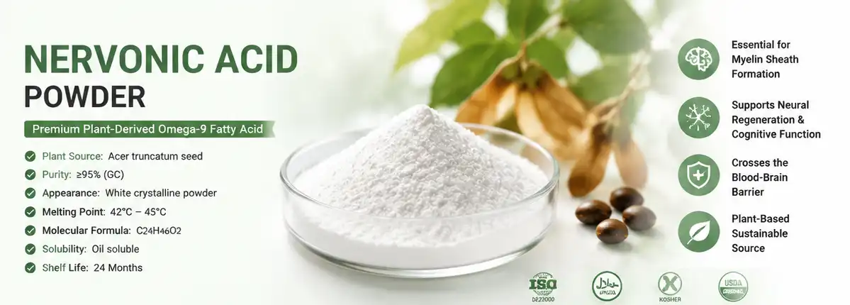 nervonic acid powder 