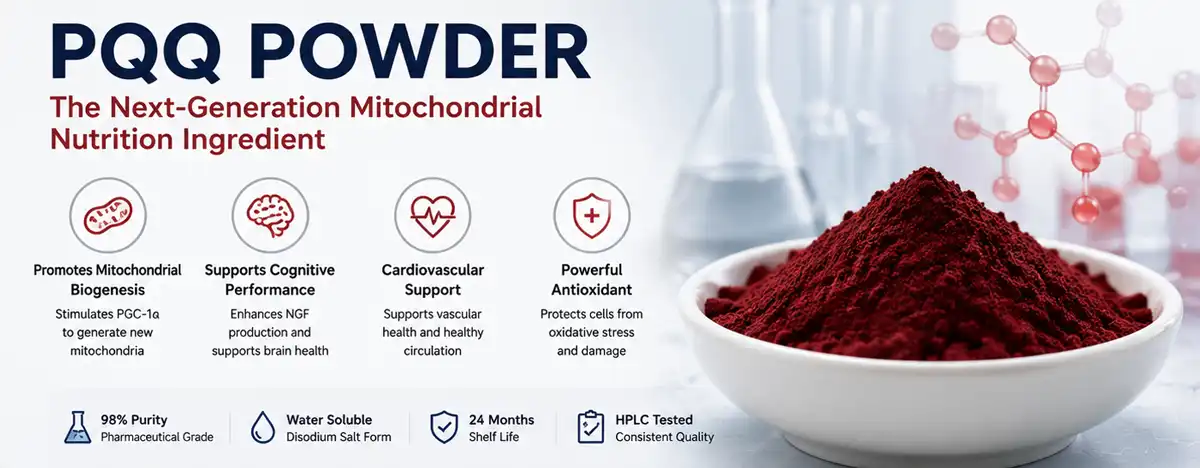 pqq powder benefits