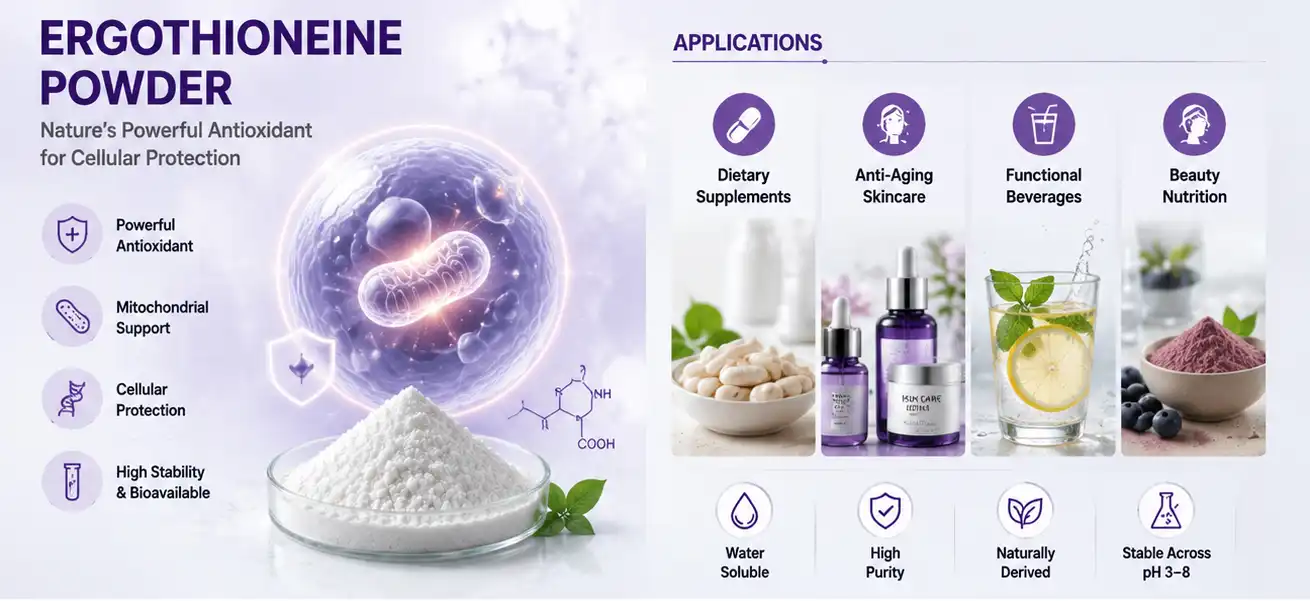 Phosphatidylserine  powder uses
