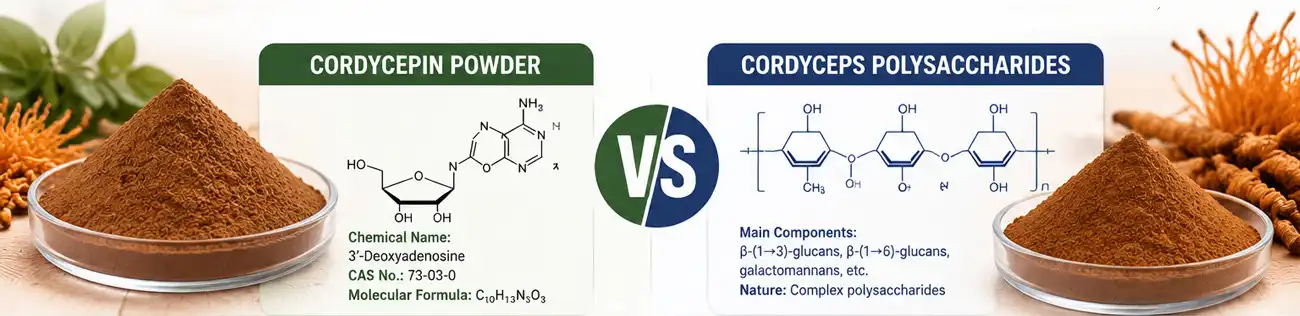 Cordycepin powder and Cordyceps Polysaccharides
