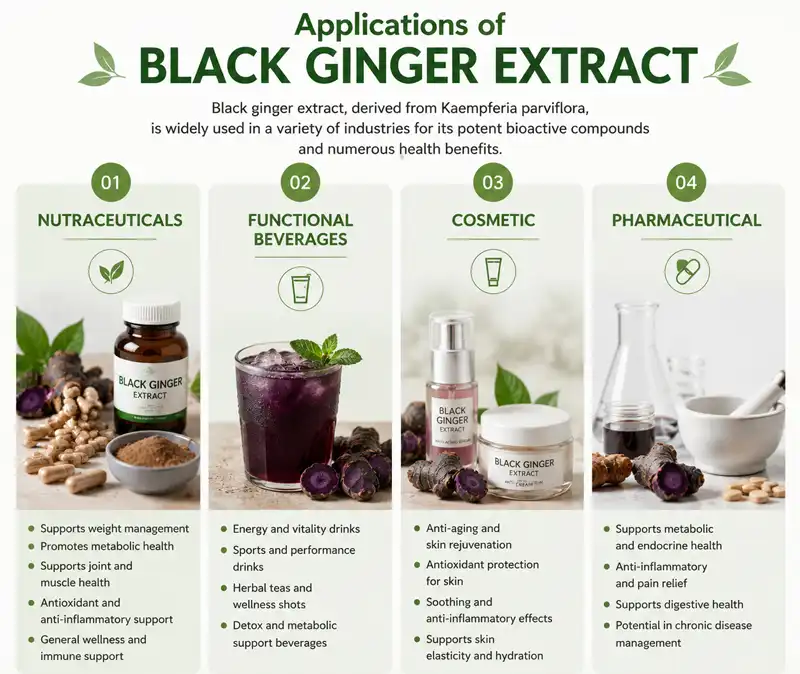 applications of black ginger extract