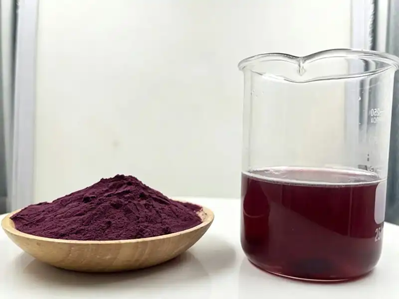 Elderberry Extract Powder 25% Elderberry Extract Powder 25%