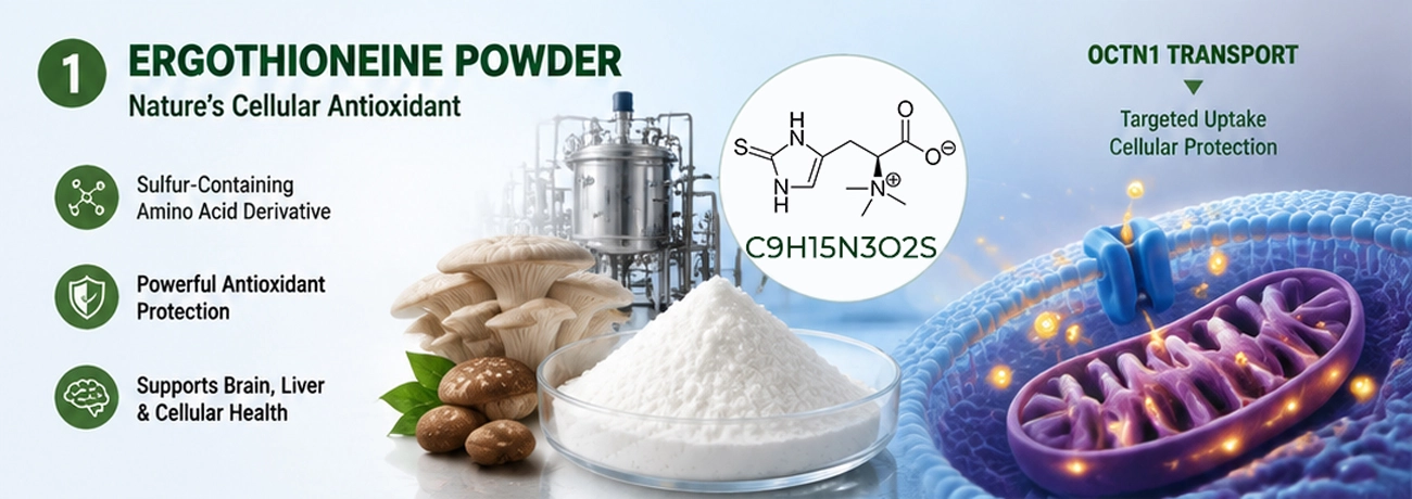 ergothioneine powder