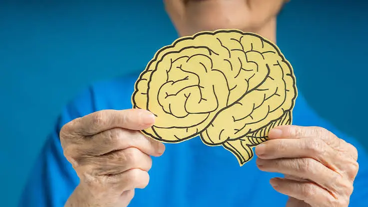 brain health ingredient brain health ingredient