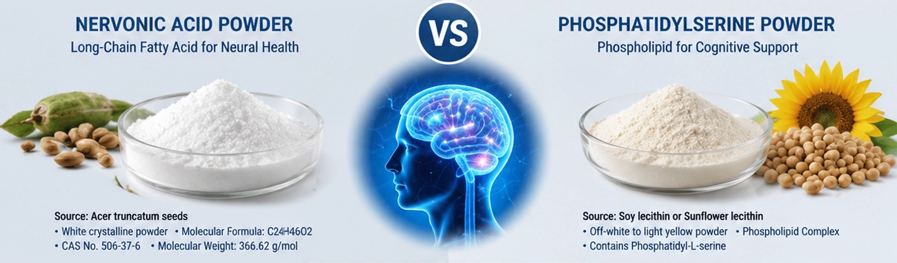 Nervonic Acid Powder vs Phosphatidylserine powder