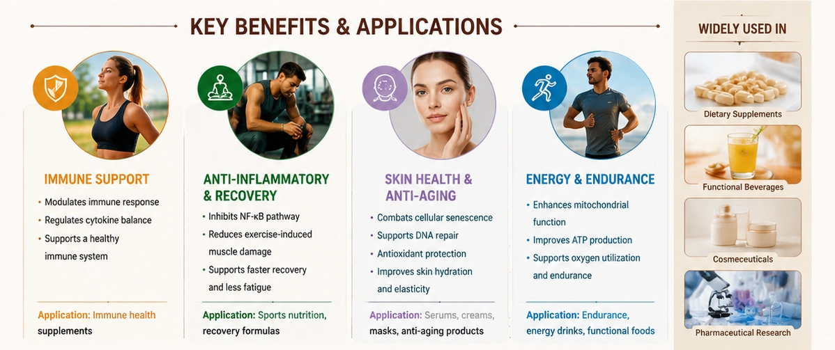 Cordycepin Powder uses Cordycepin Powder uses