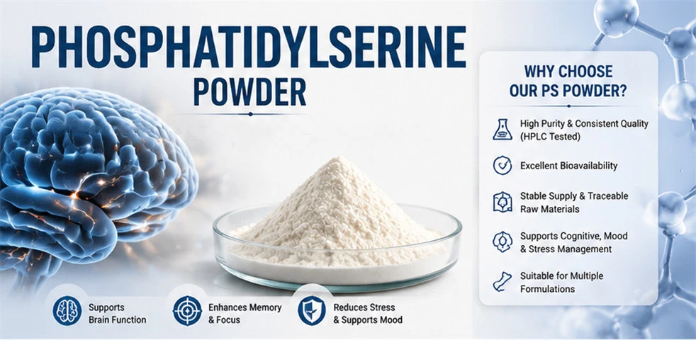 Phosphatidylserine powder Phosphatidylserine powder