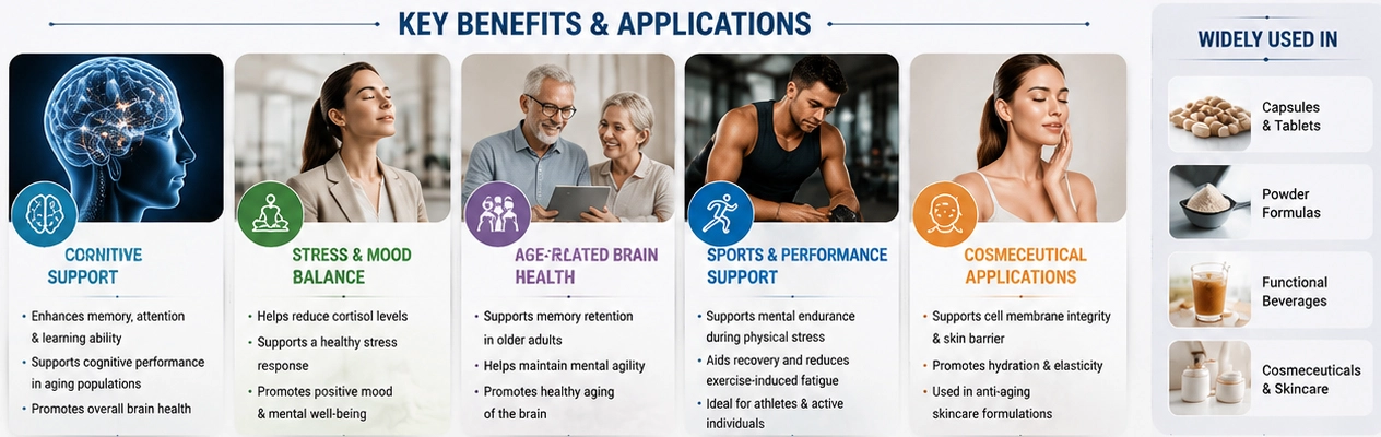 Phosphatidylserine powder benefits and applications