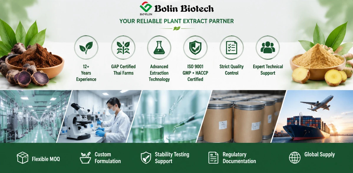 black ginger extract powder supplier