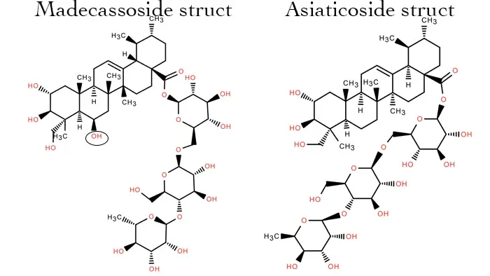 Madecassoside powder vs Asiaticoside powder
