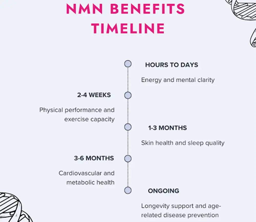 nmn powder benefits