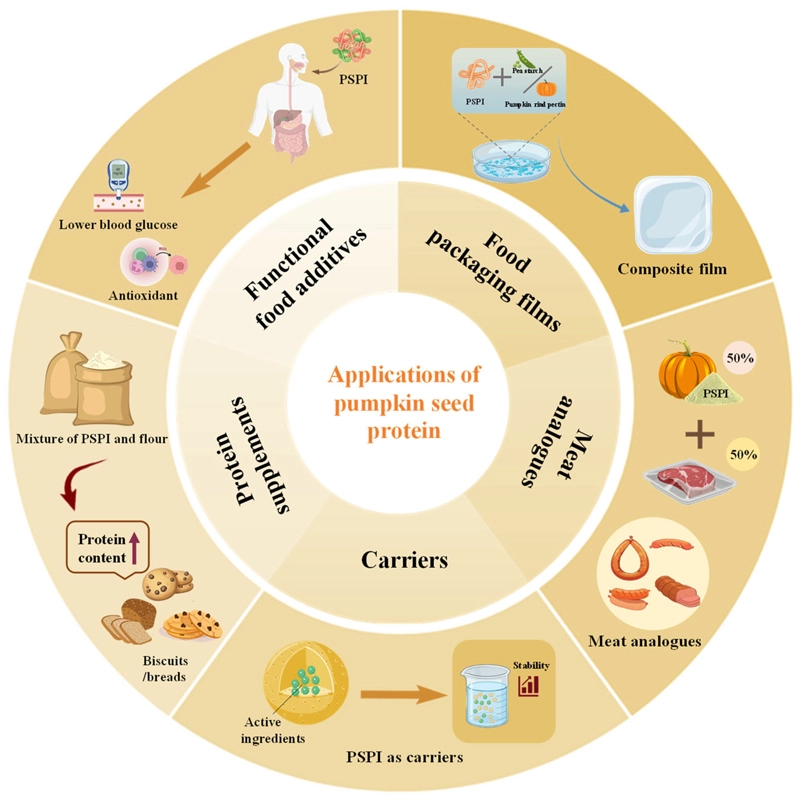 Pumpkin Seed Protein powder application