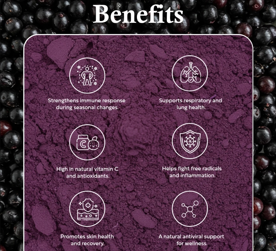 elderberry extract powder benefits