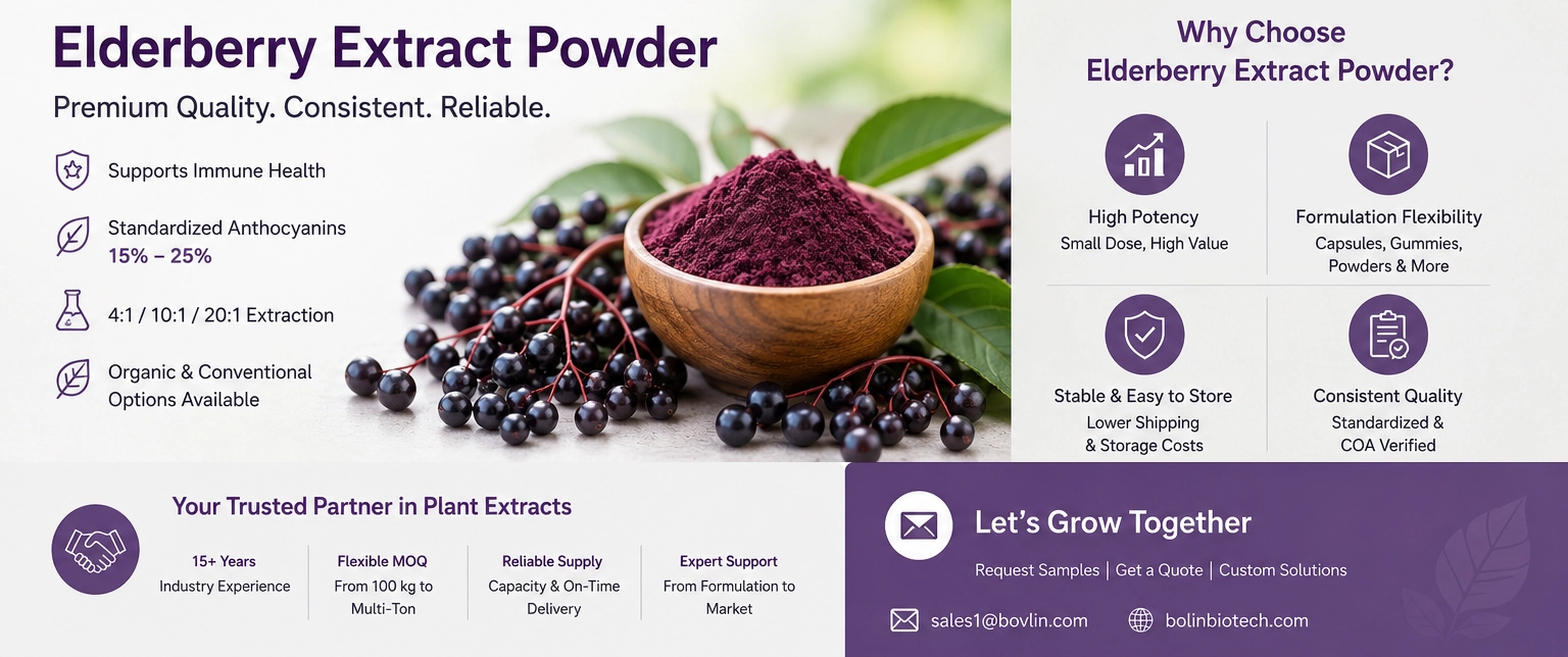 elderberry extract powder supplier elderberry extract powder supplier