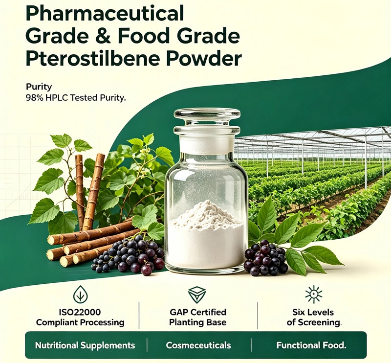 pterostilbene powder