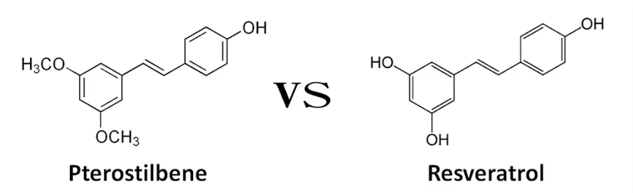 Pterostilbene Powder vs Resveratrol powder