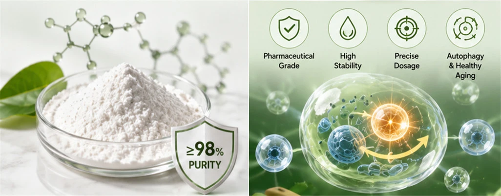 Spermidine Hydrochloride Spermidine Hydrochloride