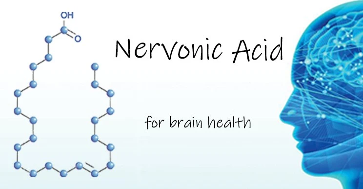 nervonic acid powder