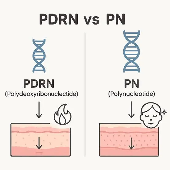 PDRN Powder and Polynucleotides PDRN Powder and Polynucleotides