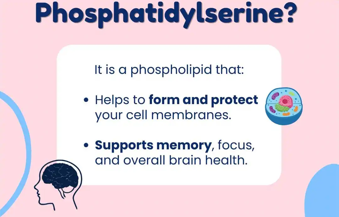 Phosphatidylserine powder