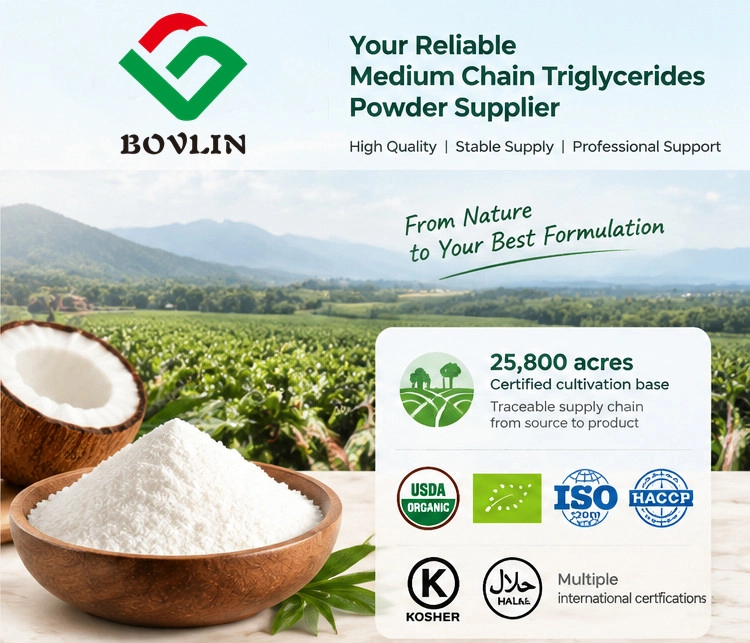 mct powder supplier