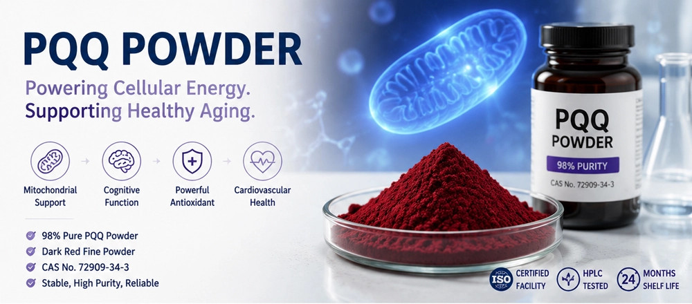 pqq powder