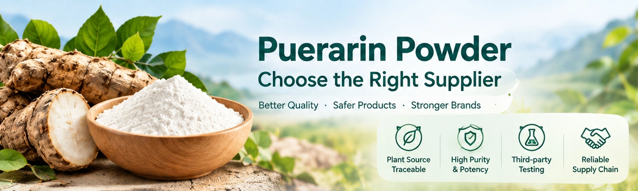 puerarin powder manufacturer puerarin powder manufacturer